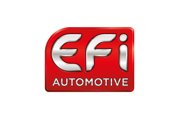 Logo_EFI